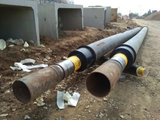 ������������� ��������� ���� ����������� � ����������� �������������